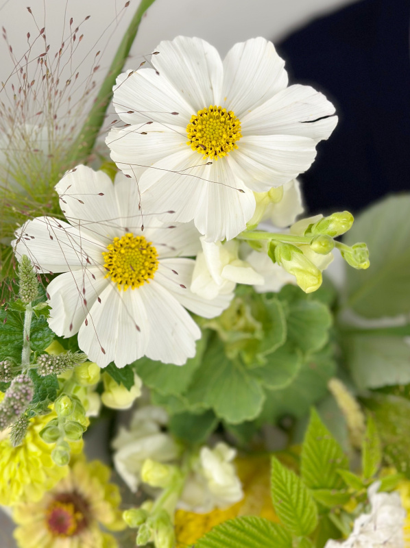 БУКЕТ ИЗ ФЕРМЕРСКИХ ЦВЕТОВ С КОСМЕЕЙ И АМАРАНТОМ