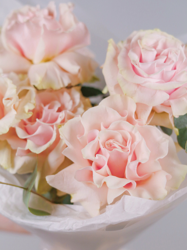 БУКЕТ 5 ФРАНЦУЗСКИХ РОЗ БУКЕТ 5 ФРАНЦУЗСКИХ РОЗ