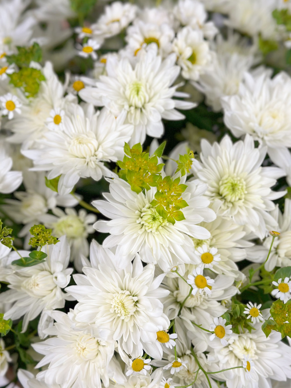 РОМАШКА, ХРИЗАНТЕМА В ПЛЕТЕНОЙ КОРЗИНЕ