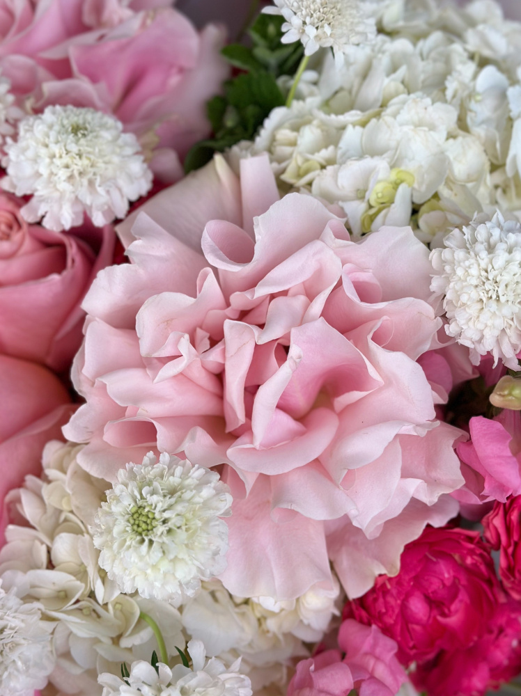 БОЛЬШОЙ ТОРЖЕСТВЕННЫЙ БУКЕТ С ПИОНОВИДНОЙ РОЗОЙ БОЛЬШОЙ ТОРЖЕСТВЕННЫЙ БУКЕТ С ПИОНОВИДНОЙ РОЗОЙ