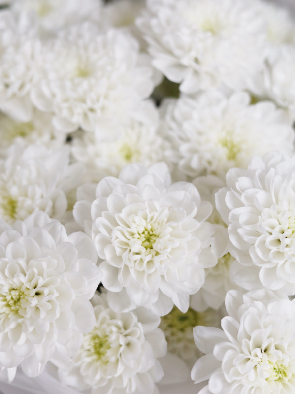 БУКЕТ С БЕЛОЙ ХРИЗАНТЕМОЙ